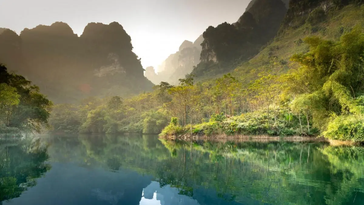 稳定性高端